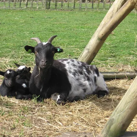 De Zandkant * Biezenmortel