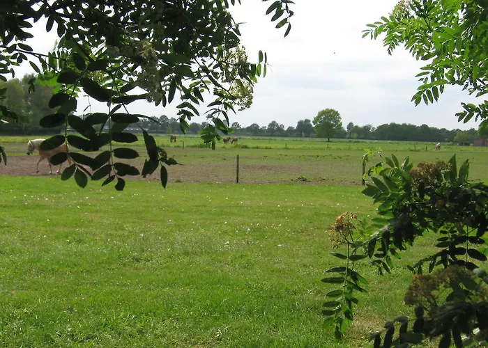 Appartement De Zandkant Biezenmortel