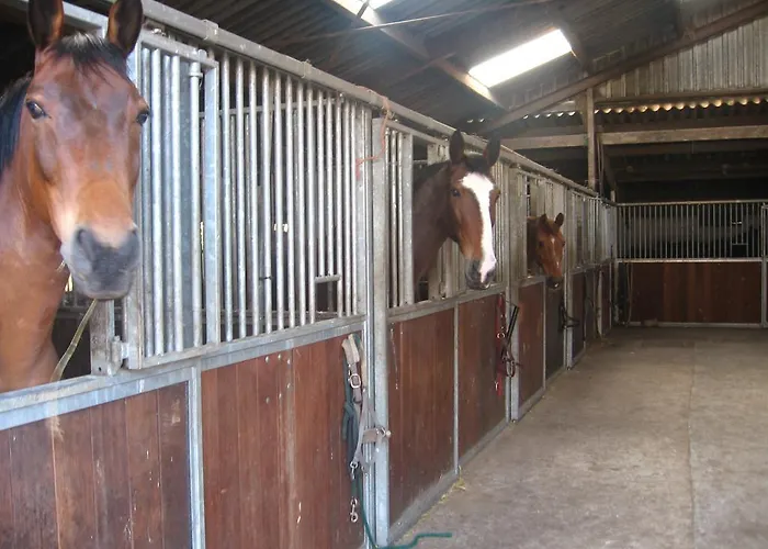 Appartement De Zandkant