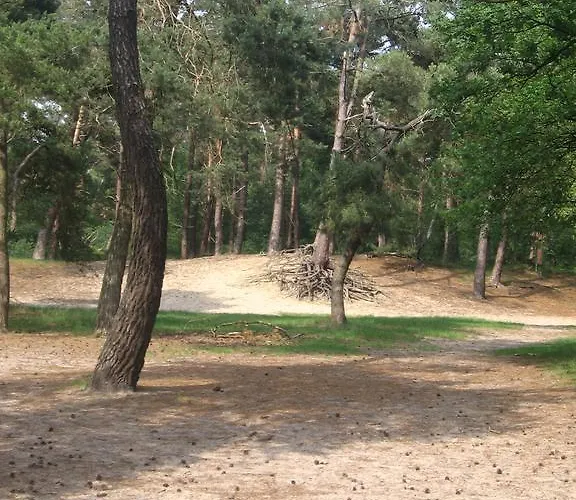 Appartement De Zandkant Biezenmortel