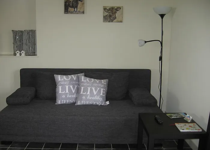 De Zandkant 比兹莫特