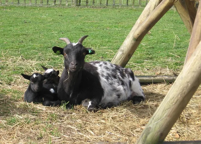 De Zandkant * Biezenmortel